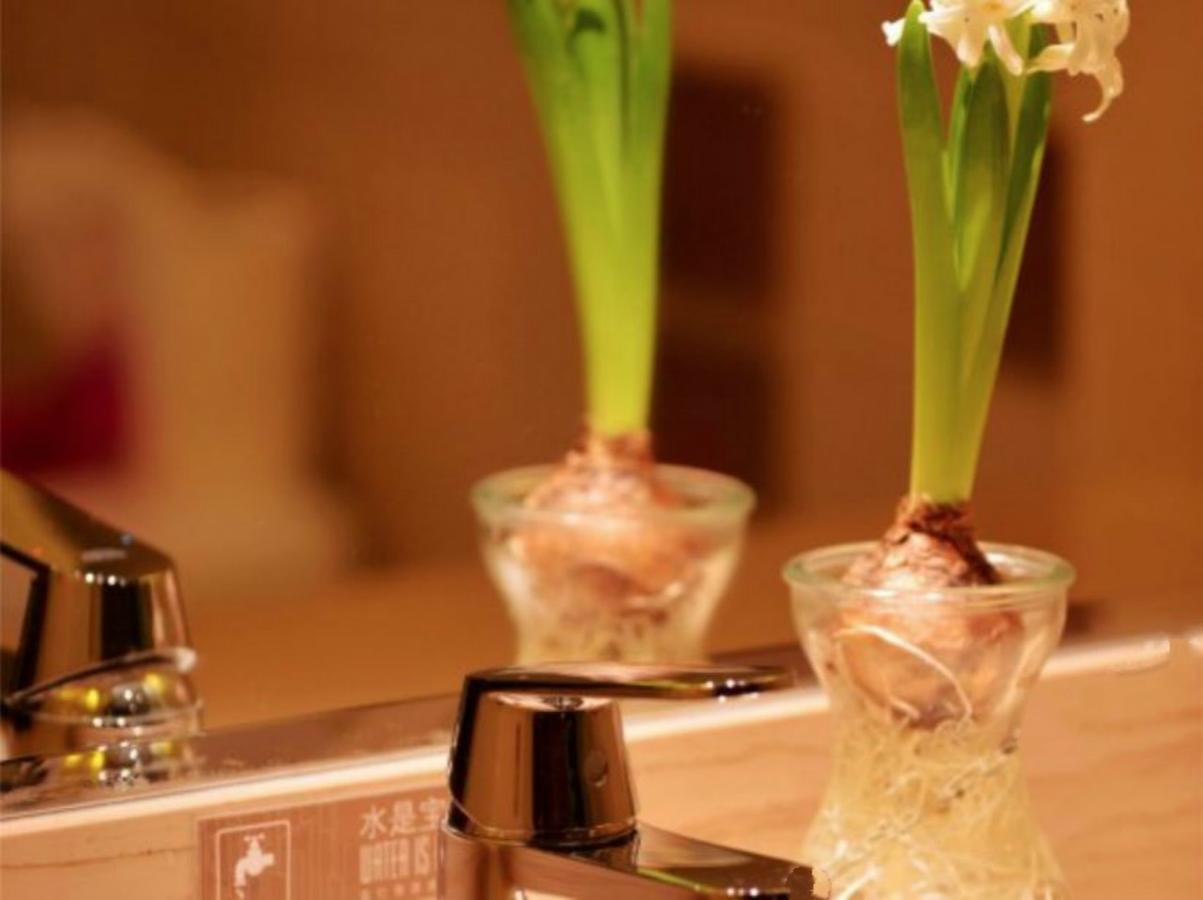 Greentree Inn Beijing Dongcheng District Wangfujin South Luogu Lane Houhai Express Hotel Luaran gambar